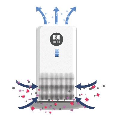 Air Purification Systems