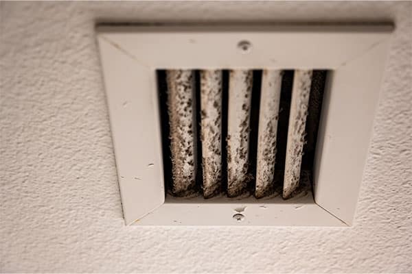 Air Purification Systems